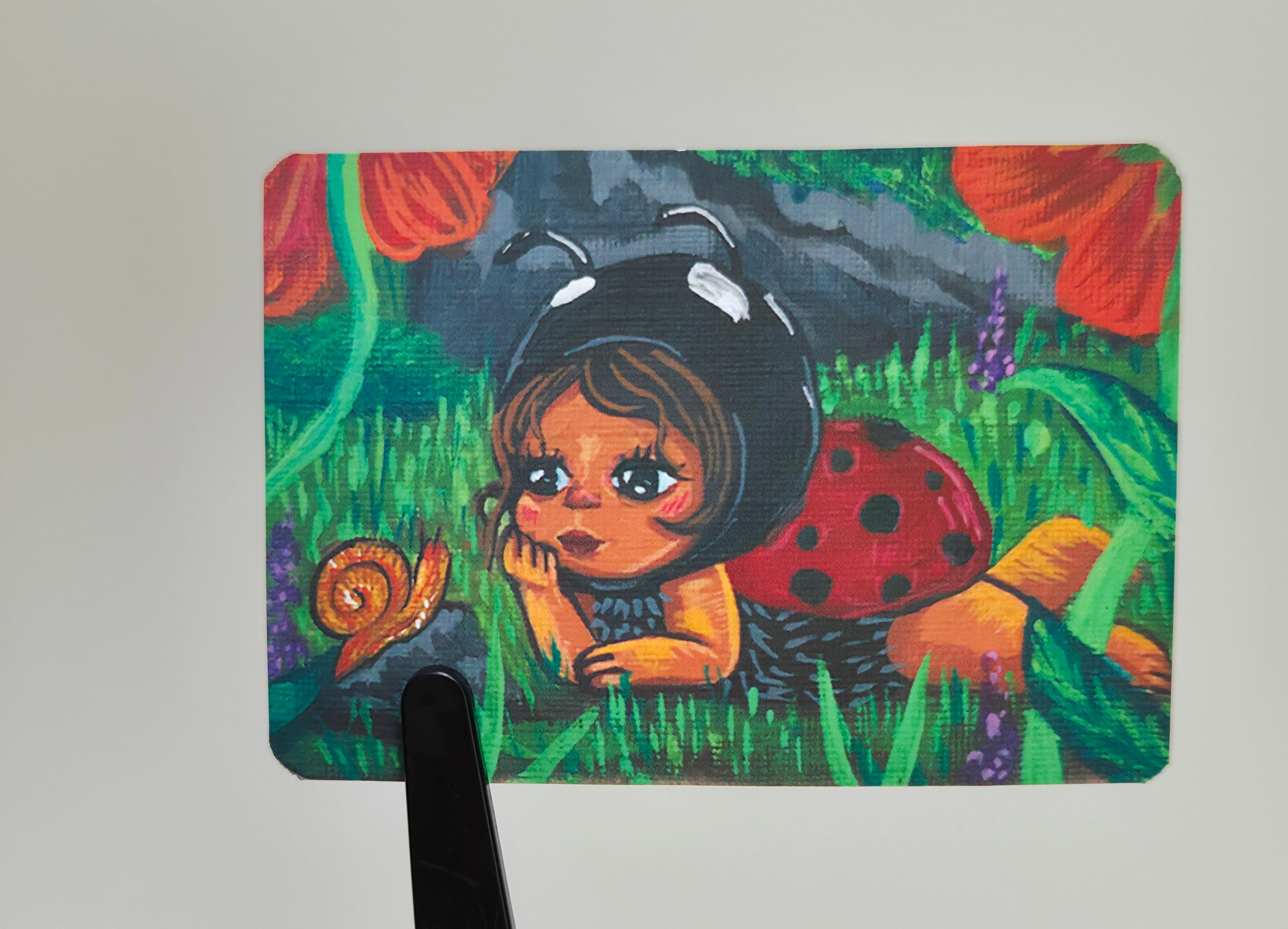Ladybug & Snail